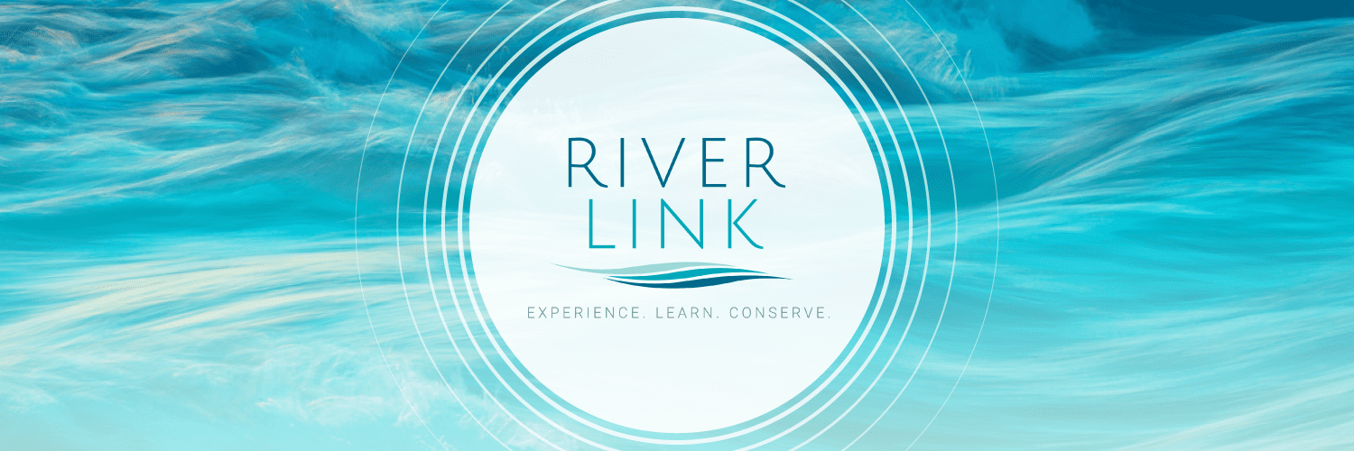 RiverLink Header